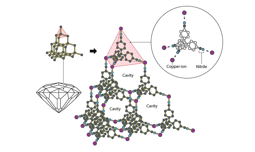 Academy Fellow one of three scientists to win Nobel Prize in Chemistry 